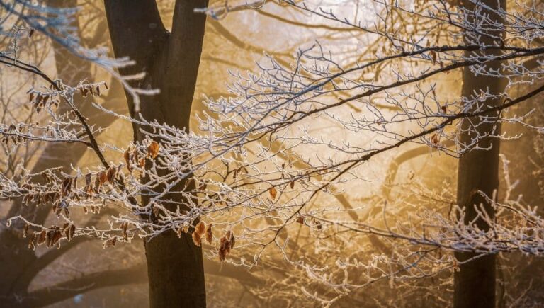 Fire safety in the winter months